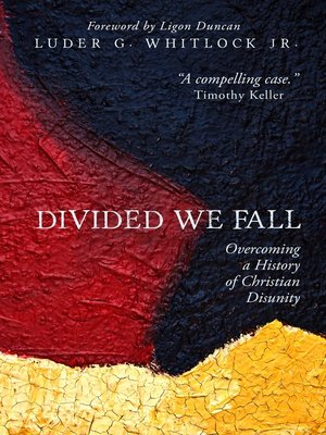 cover image of Divided We Fall